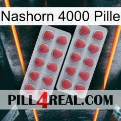Rhino 4000 Pill 19